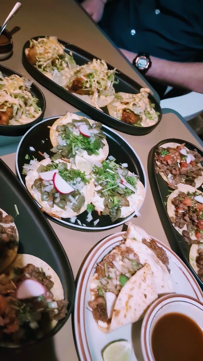 Banner El Pacifico 02